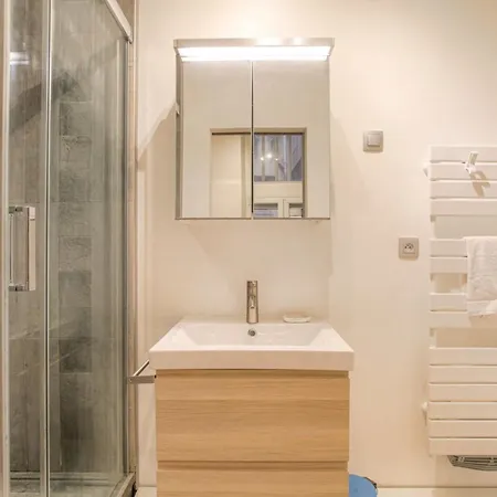 Duplex De Caractere En Hypercentre Apartment