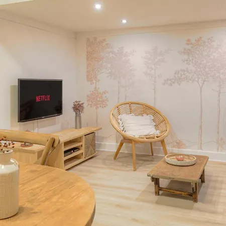 Duplex De Caractere En Hypercentre Apartment Lyon