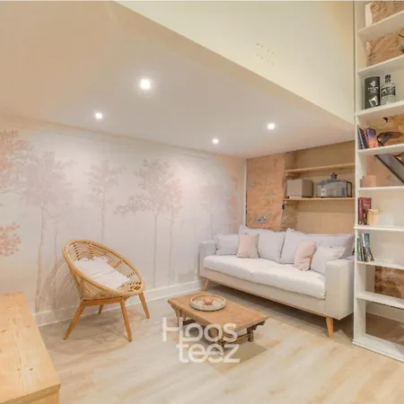 Apartment Duplex De Caractere En Hypercentre Lyon