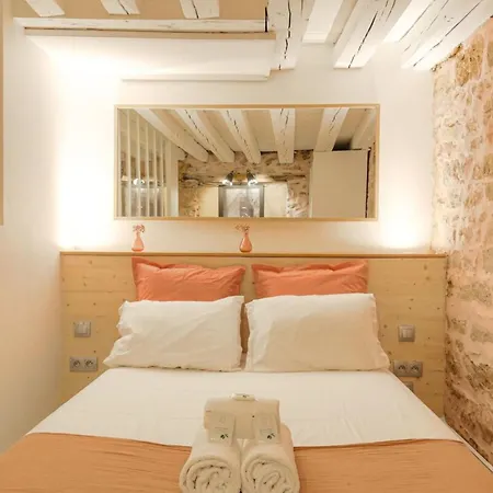 Duplex De Caractere En Hypercentre Apartment Lyon