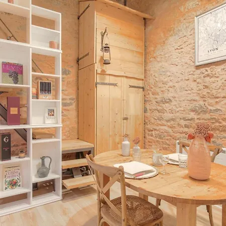 Apartment Duplex De Caractere En Hypercentre Lyon