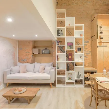 Duplex De Caractere En Hypercentre Apartamento *