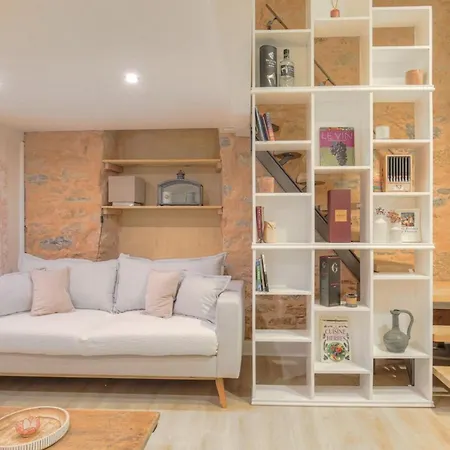 Duplex De Caractere En Hypercentre Apartamento Lyon