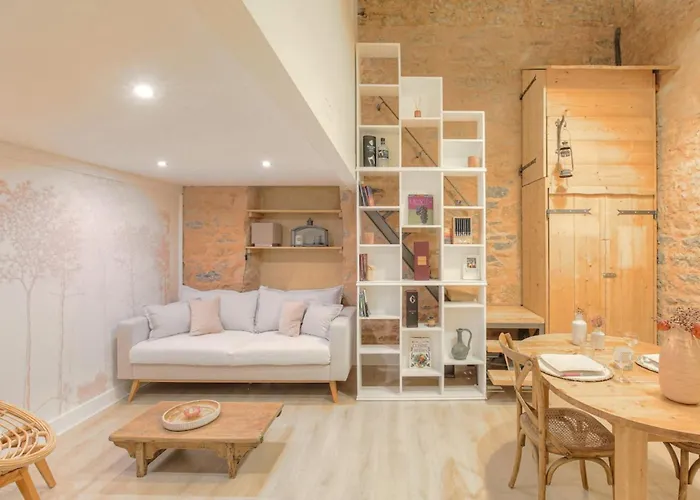 Duplex De Caractere En Hypercentre Apartamento *