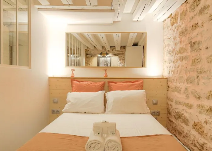 Apartamento Duplex De Caractere En Hypercentre