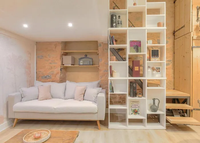 Duplex De Caractere En Hypercentre Apartamento Lyon