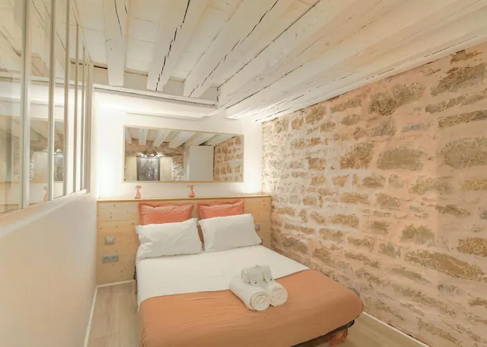 Duplex De Caractere En Hypercentre Lyon