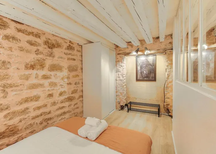 Apartamento Duplex De Caractere En Hypercentre