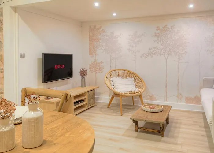Duplex De Caractere En Hypercentre Apartamento