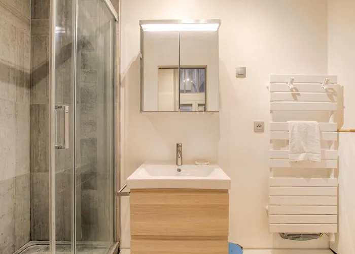 Apartamento Duplex De Caractere En Hypercentre *
