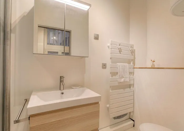 Apartamento Duplex De Caractere En Hypercentre Lyon